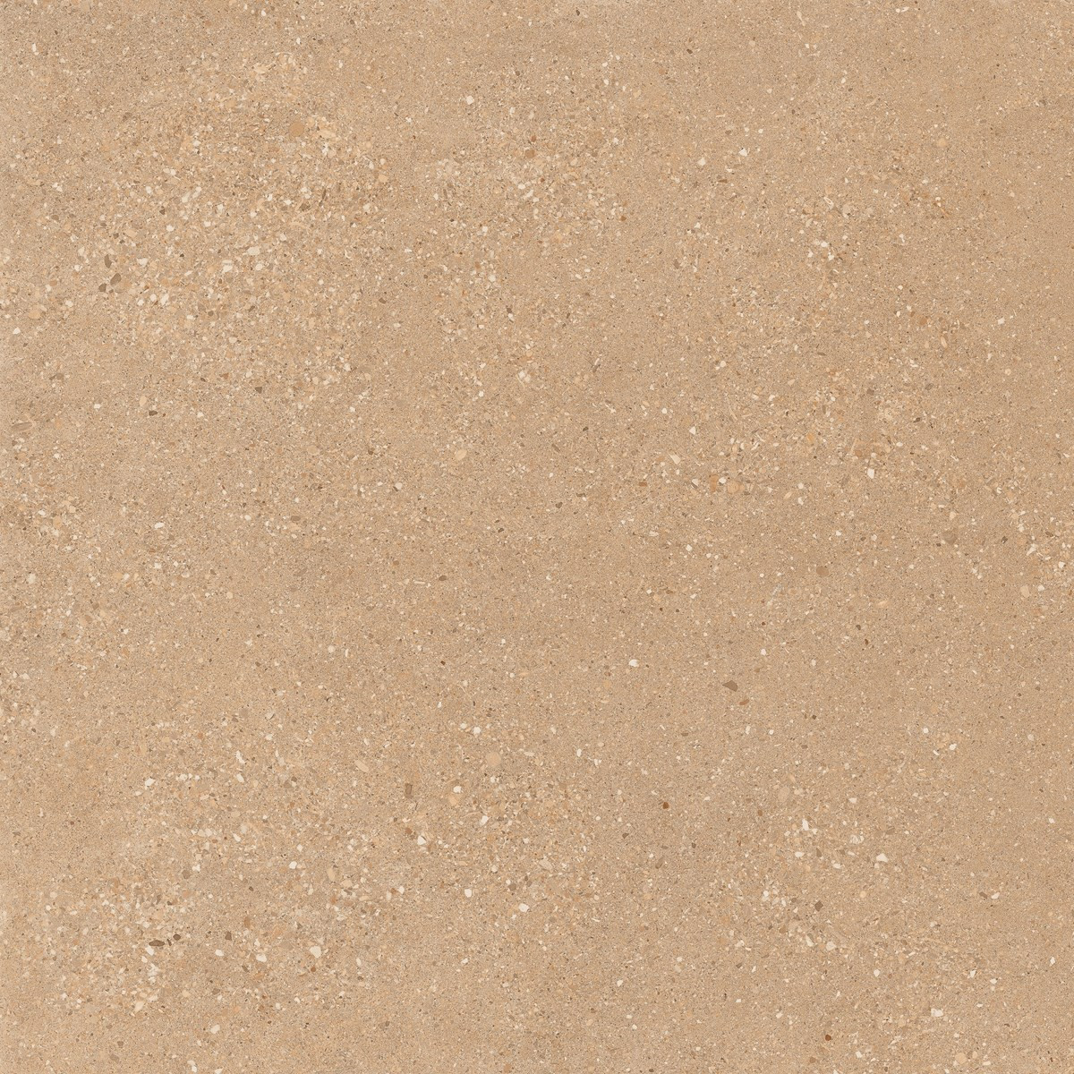 MOON SAND BEIGE_2-(M)-LL-3